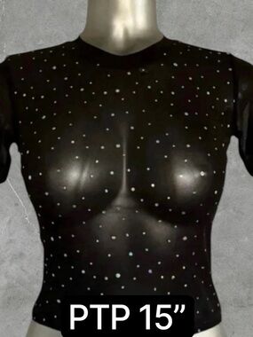 $10 Add-On 🆕French Twist Shimmering Mesh T-Shirt